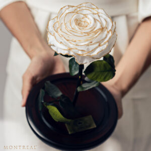 Urna de rosa preservada Fairytale White - Image 2