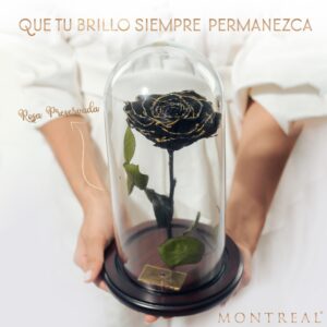 Urna de rosa preservada Fairytale Black