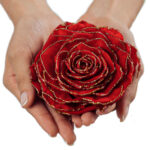 Urna de rosa preservada Fairytale Red - Image 2