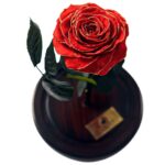 Urna de rosa preservada Fairytale Red - Image 3