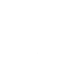 Osos de rosas