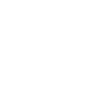 Rosas Preservadas