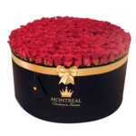 Tambor bigmagic full rosas