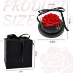 Urna de rosa preservada Premium con luces led - Image 3