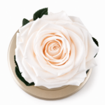 Urna de rosa preservada Premium Porcelana - Image 2