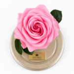 Urna de rosa preservada Premium Rosada - Image 2