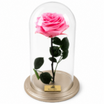 Urna de rosa preservada Premium Rosada