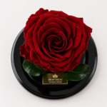 Urna de rosa preservada Premium Rojo Vino - Image 2